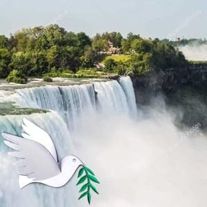 Meet your Posher, Edith